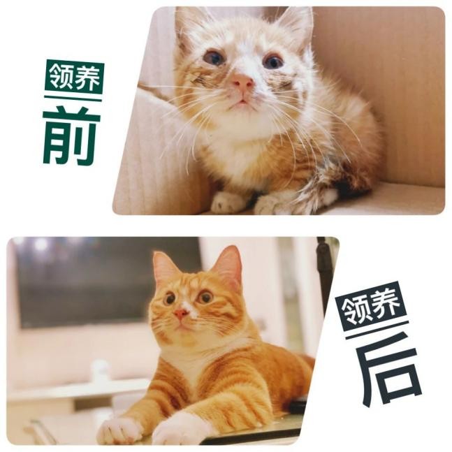 Soul高管引领正能量青春 探索真实年轻态度