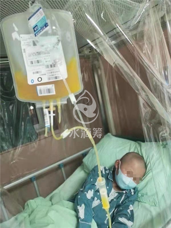 10岁男孩患血癌，移植后却引起肺部感染，父亲再次发起水滴筹